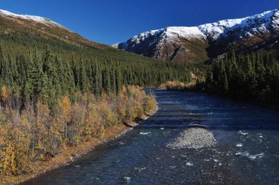 Muitos tios cortam o Denali National Park, no Alaska